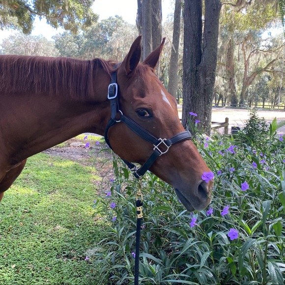 Meet your Posher, Christie-elyse - Picture 7 of 8